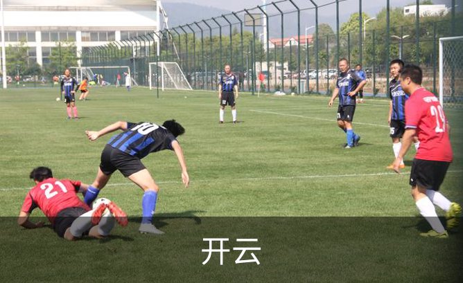 了解开云