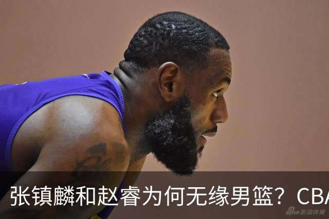 张镇麟和赵睿为何无缘男篮？CBA名记分析，道出2个原因
