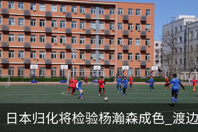 日本归化将检验杨瀚森成色 渡边：有实力击败中国男篮