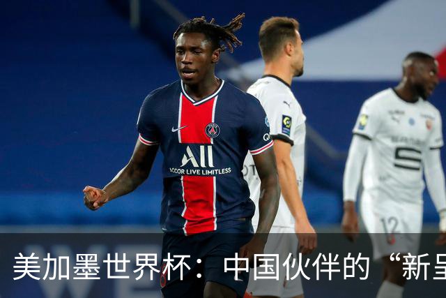 美加墨世界杯：中国伙伴的“新呈现”