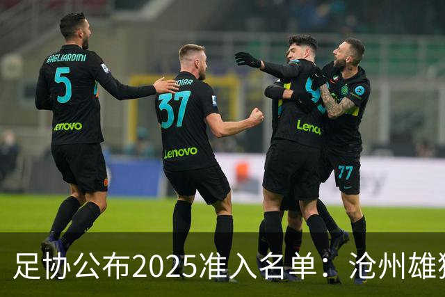 足协公布2025准入名单：沧州雄狮、广州队无缘